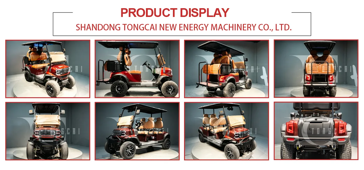 Enclosed 4-Passenger Winter Resort Golf Car Weatherproof Cabin, Heated Option, Ideal for Snowy Resorts Cold-Climate Leisure Electric Golf Cart
