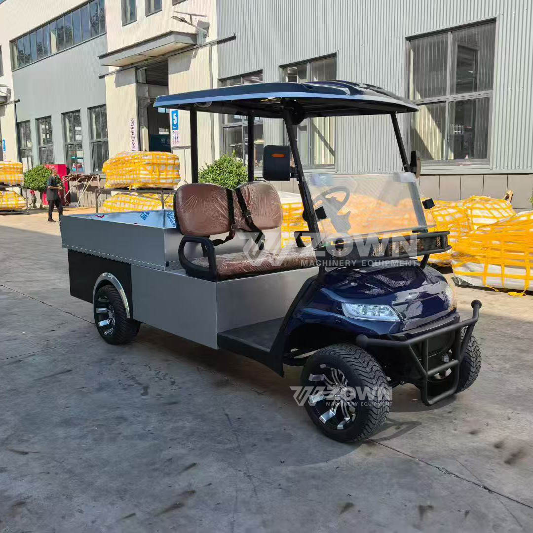 Customized 2 Seater Electric Cargo Golf Cart AC Motor 3/4/5KW Lithium Battery Off-Road Mini Pickup Truck All-Terrain CE Q235B
