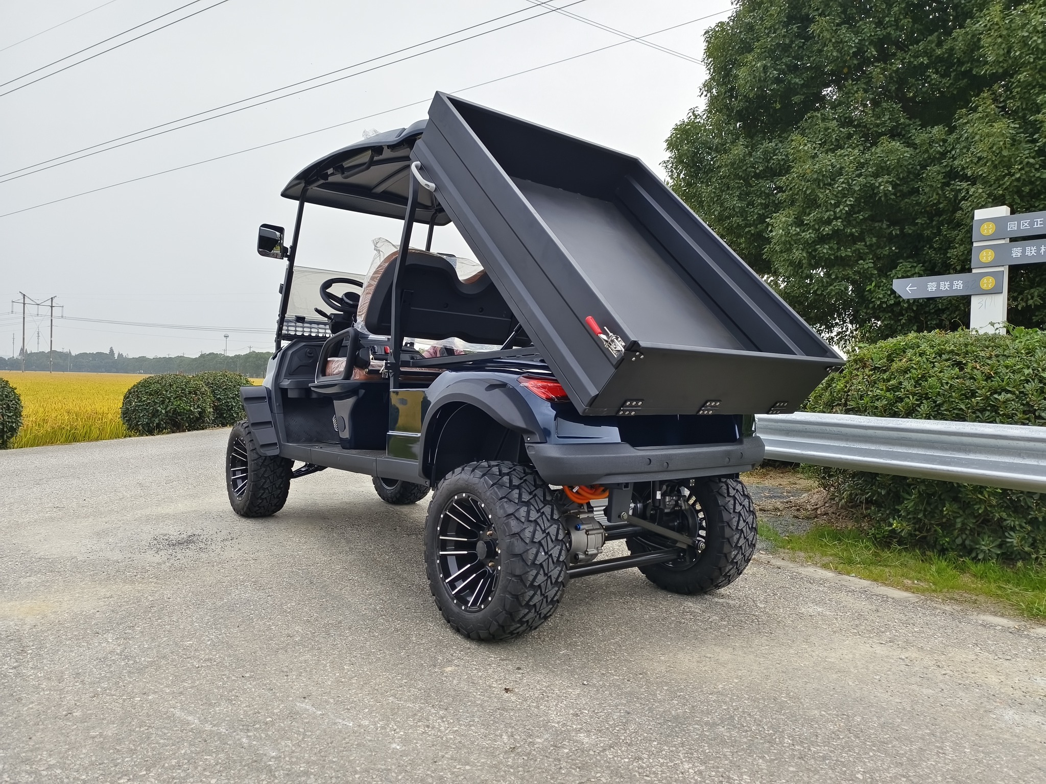 Electric 2 Seat Off Road Powerful New Design Electric 4X4 Golf Carts With Dump Truck Cargo Bed Pickup