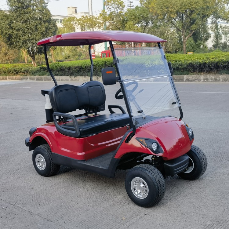 Mini Electric or Gasoline Powered 2 Seater Small Golf Buggy Cart