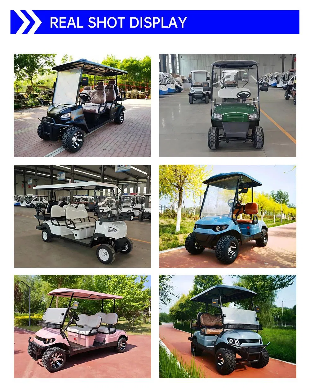 Real Shop Golf Cart Unit