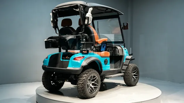 Golf Buggy Armrest Details
