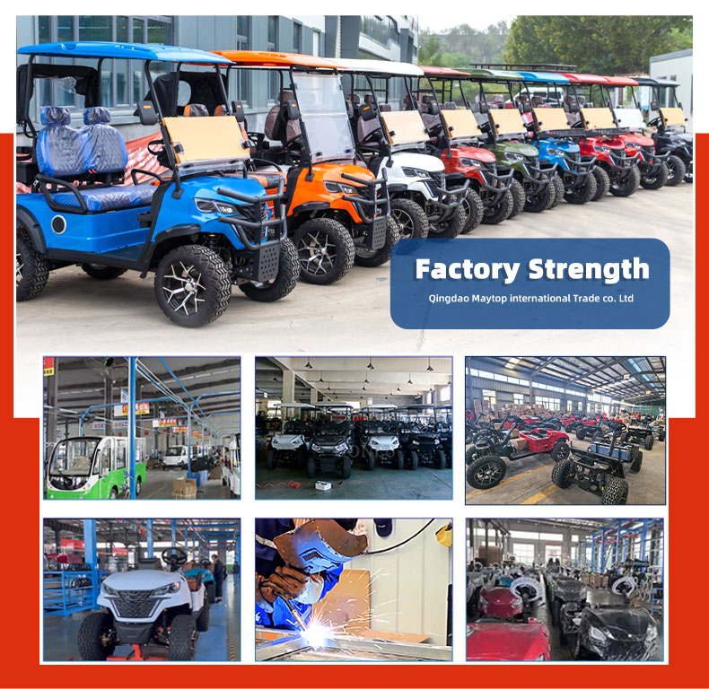 Company Profile