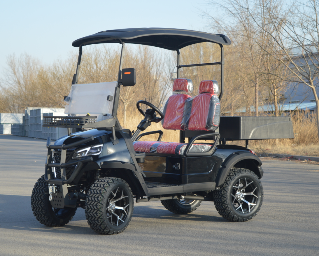 Europe Canada Hot Selling Electric 2 Seats Mini Lithium Battery Golf Cart GPS Navigation 3.5-7.5 Kw Motor 90km Range for