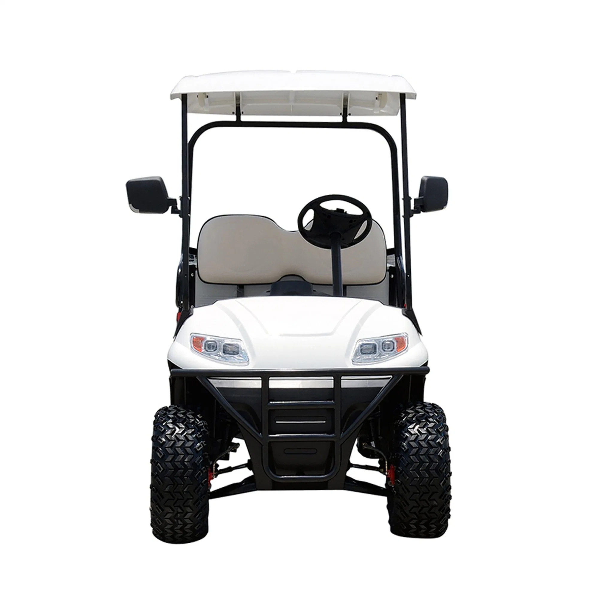 Electric Powered Utility Golf Cart 2 Passenger with Rear Cargo Bed
