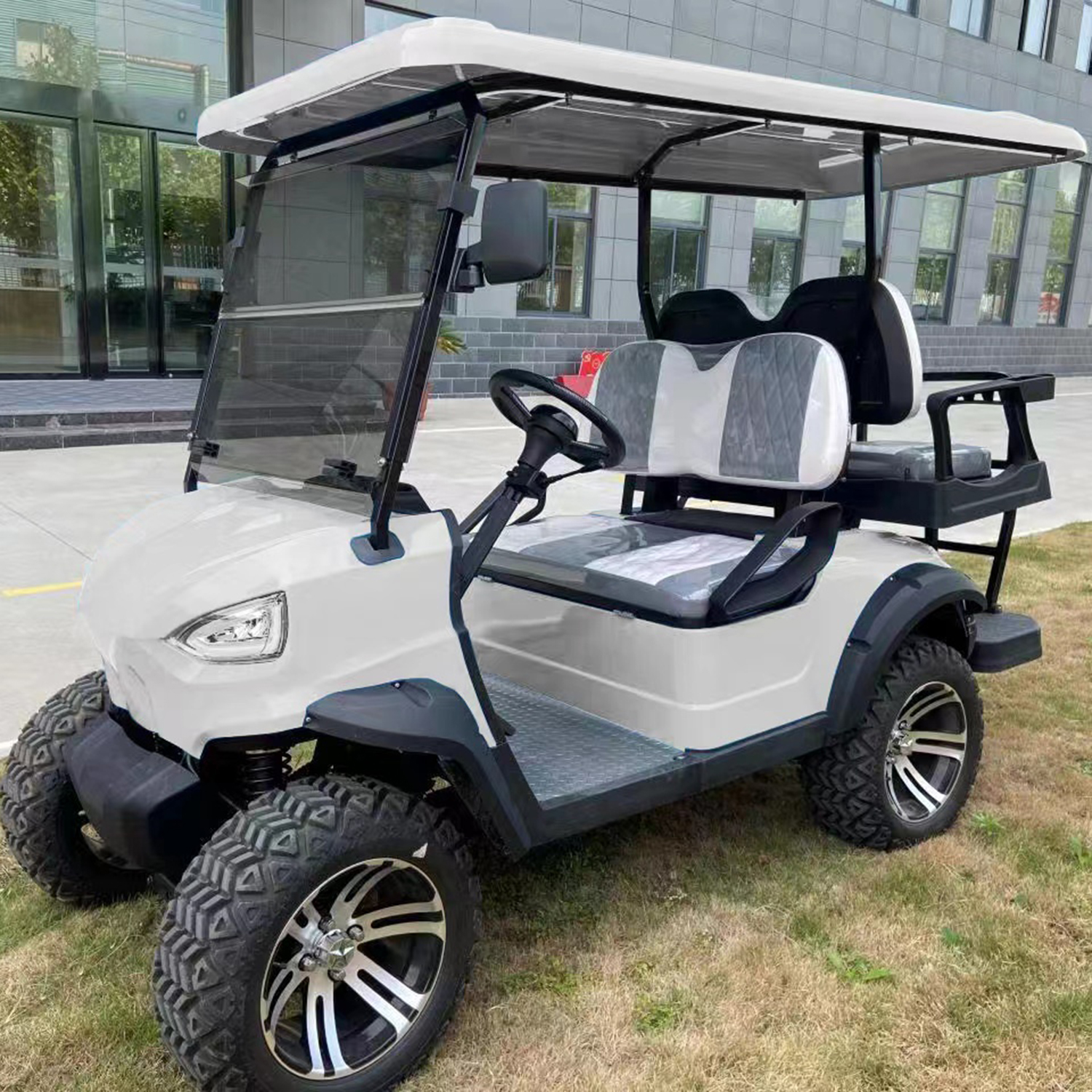 Electric Golf Cart Details 1