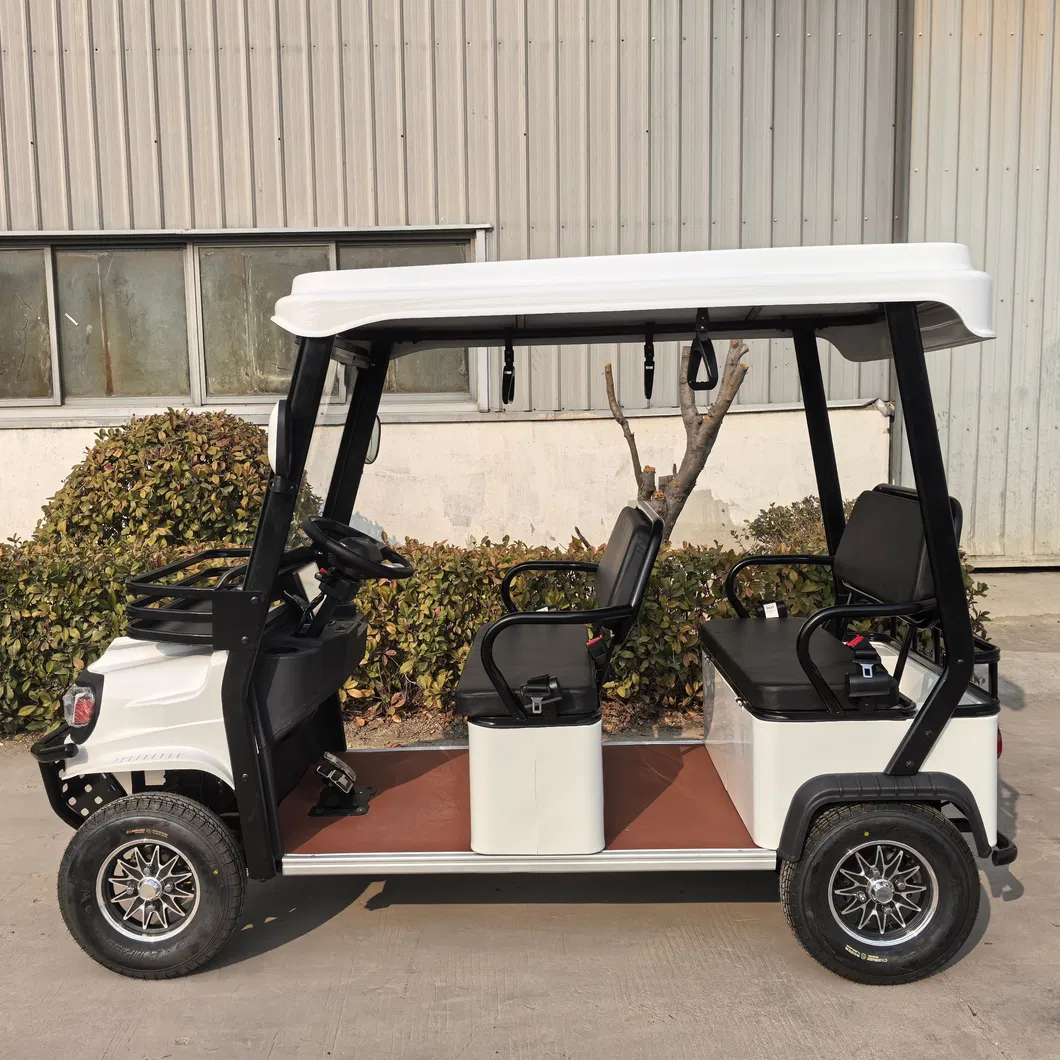 Wholesale Adult Electric Golf Cart with High-Speed Performance Features