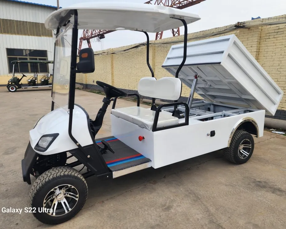 2 Seater Utility Carts Pickup Truck Automatic Hydraulic Rod Golf Cart with Cargo Box Bed