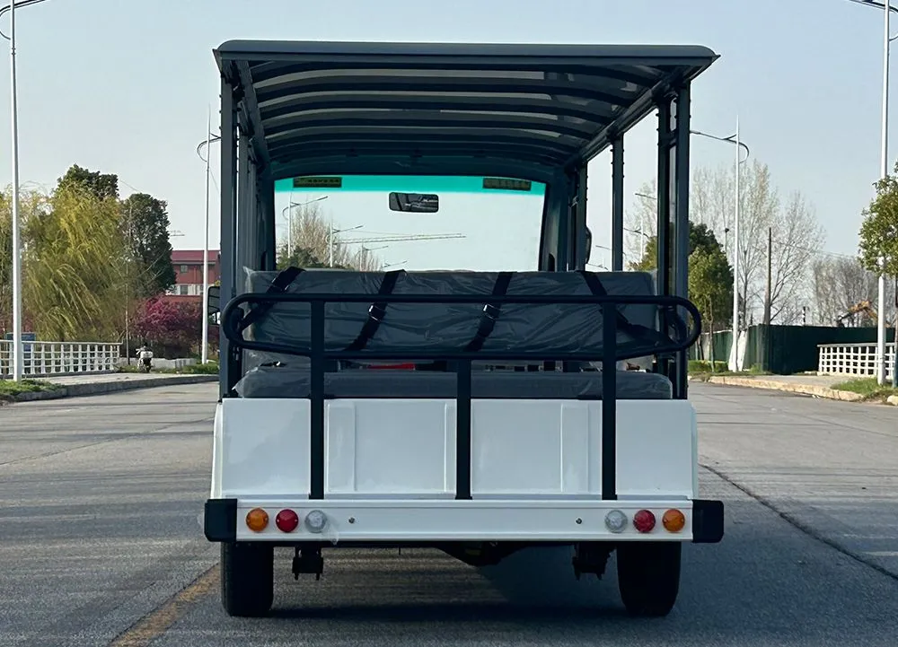 Electric Sightseeing Car Side View