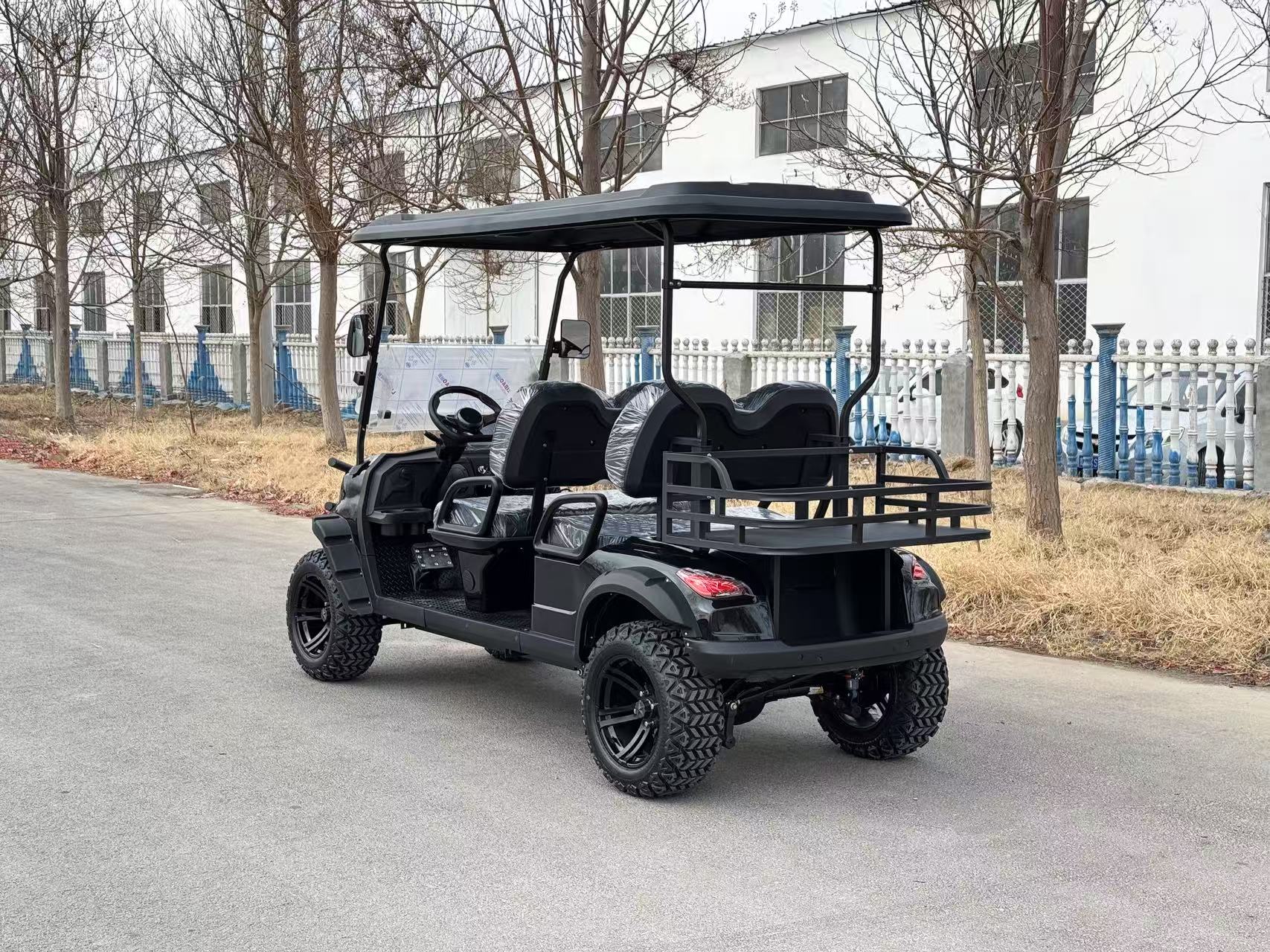 Mini Golf Cart 2-Seater | Luxurious Seats, 60V 100AH, 100km Driving Range, CE DOT Approved
