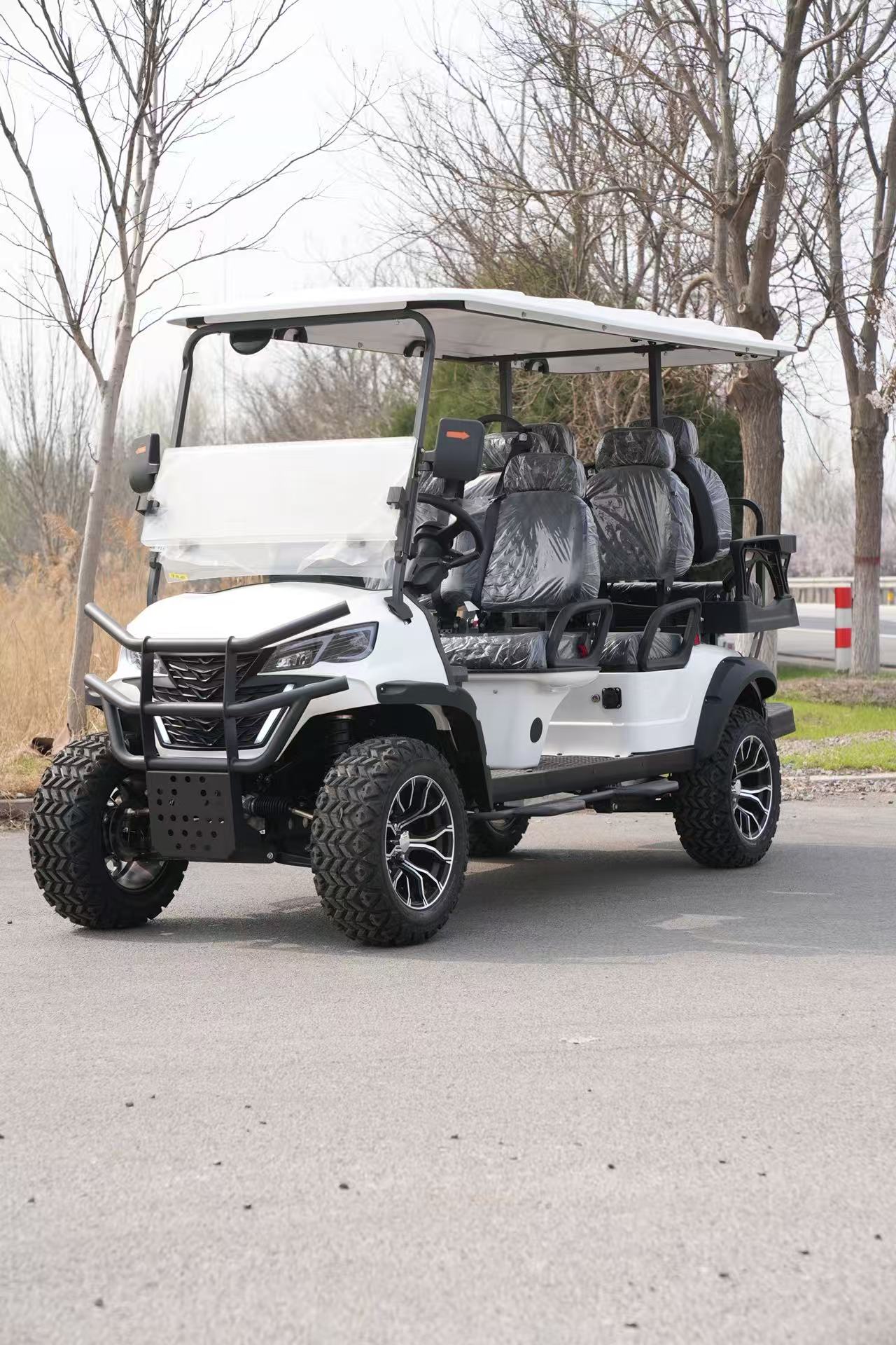 High Torque 6 Seater Golf Scooter/Golf Cart 220V Battery 4WD Rugged Terrain Enhanced Suspension CE Certified Hunting Patrol