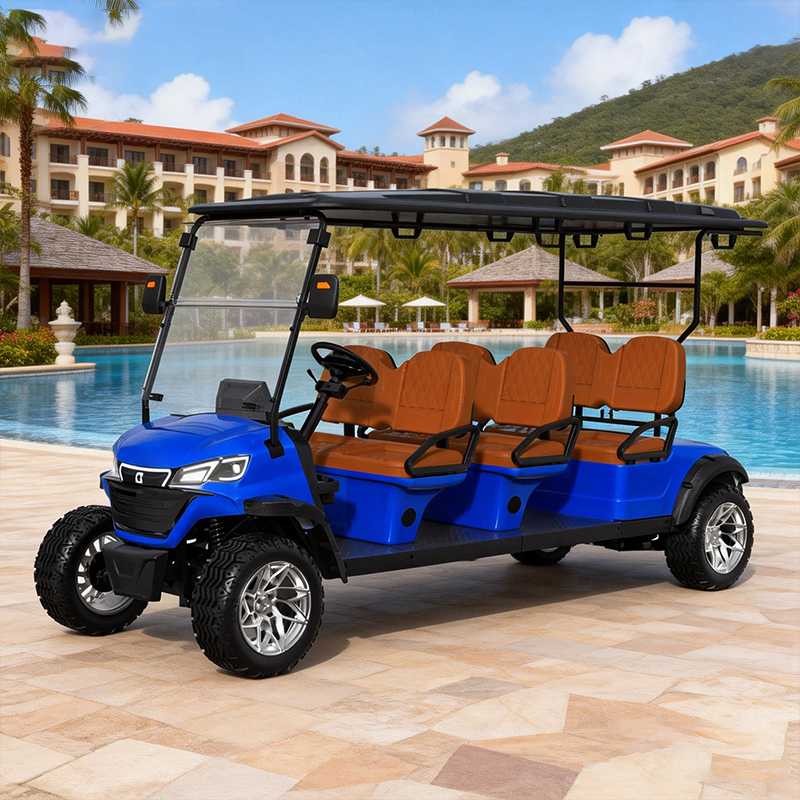 WOLAN Utility Vehicle Electric Golf Cart 6 Passenger for Sightseeing Motor Acid Battery Lead