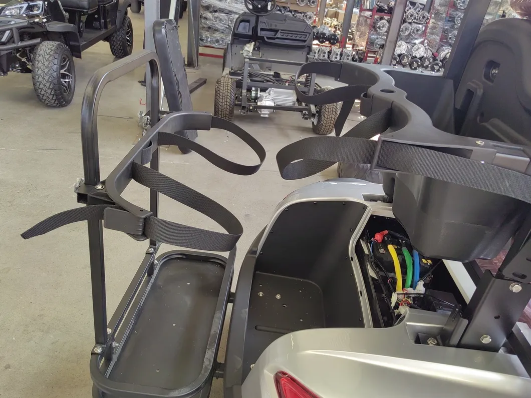High-Performance Electric Carts with 7 5kw Motor and Custom Options