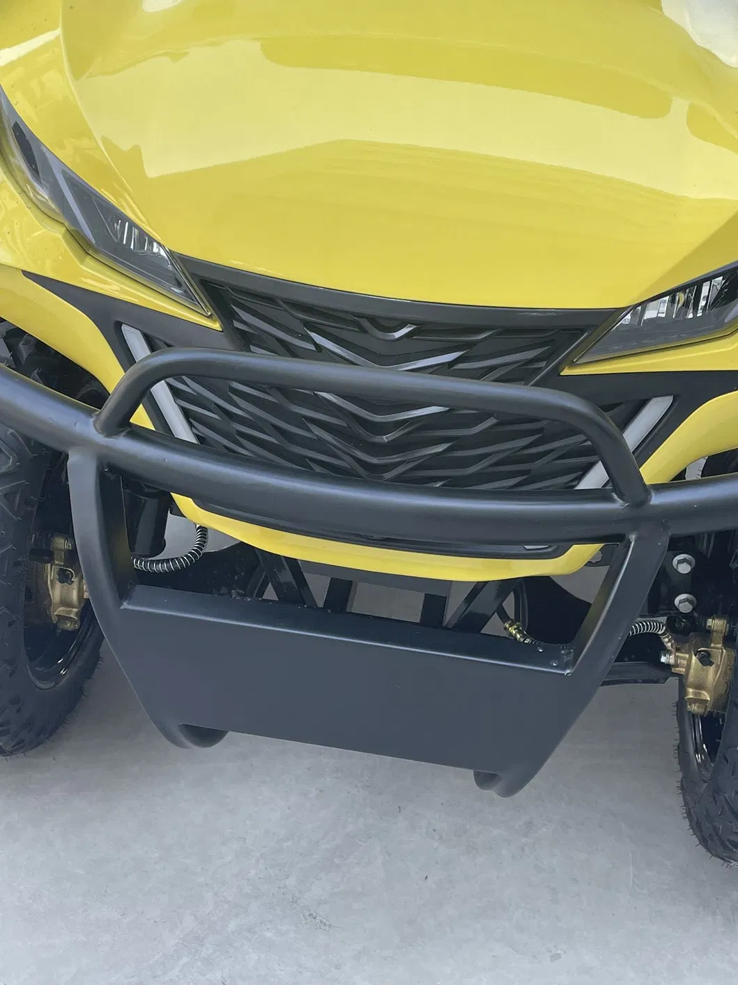 Lithium Battery Installed Electric Golf Cart High Speed Long Distance