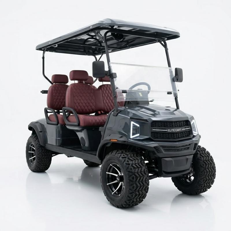 Professional Street Legal 4 Seater Electric Golf Cart Neighborhood Vehicle for Rental Fleet Use EV