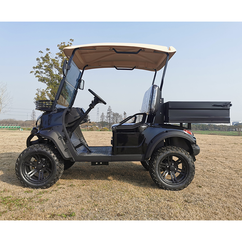 Large Cargo Box Cart 2 Passenger Electric Utility Golf Cart with Off-road Tires 90km Range &amp; 30-50Km/h Speed