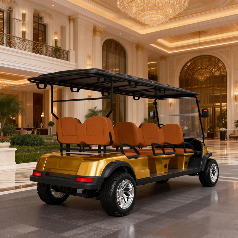 WOLAN Utility Vehicle Electric Golf Cart 6 Passenger for Sightseeing Motor Acid Battery Lead