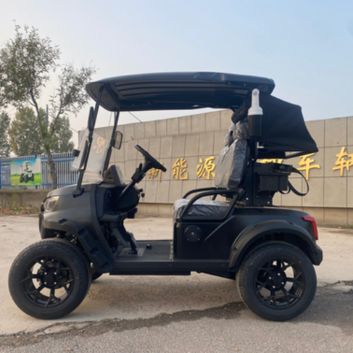 Wholesale Price 2 Seater Golf Cart Lithium Battery CE Certified Golf Buggy Lifelong After-Sale Service Electric Vehicle with GPS