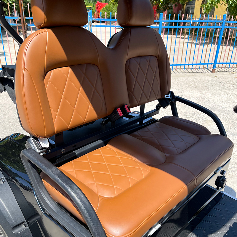 Electric 2 Seater Golf Cart Top Quality Mini Leisure Vehicle Powerful Motor Long Range Battery Resort Community Course Use