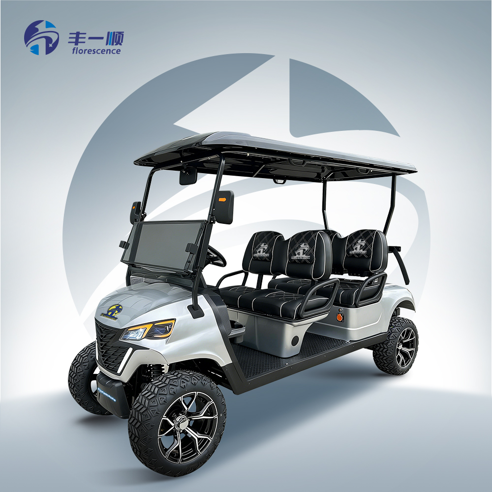 4 Seaterfront Suspension Electric Golf Carts Manual 4 Wheels for Sale Philippines No Street Legal Set Assembly