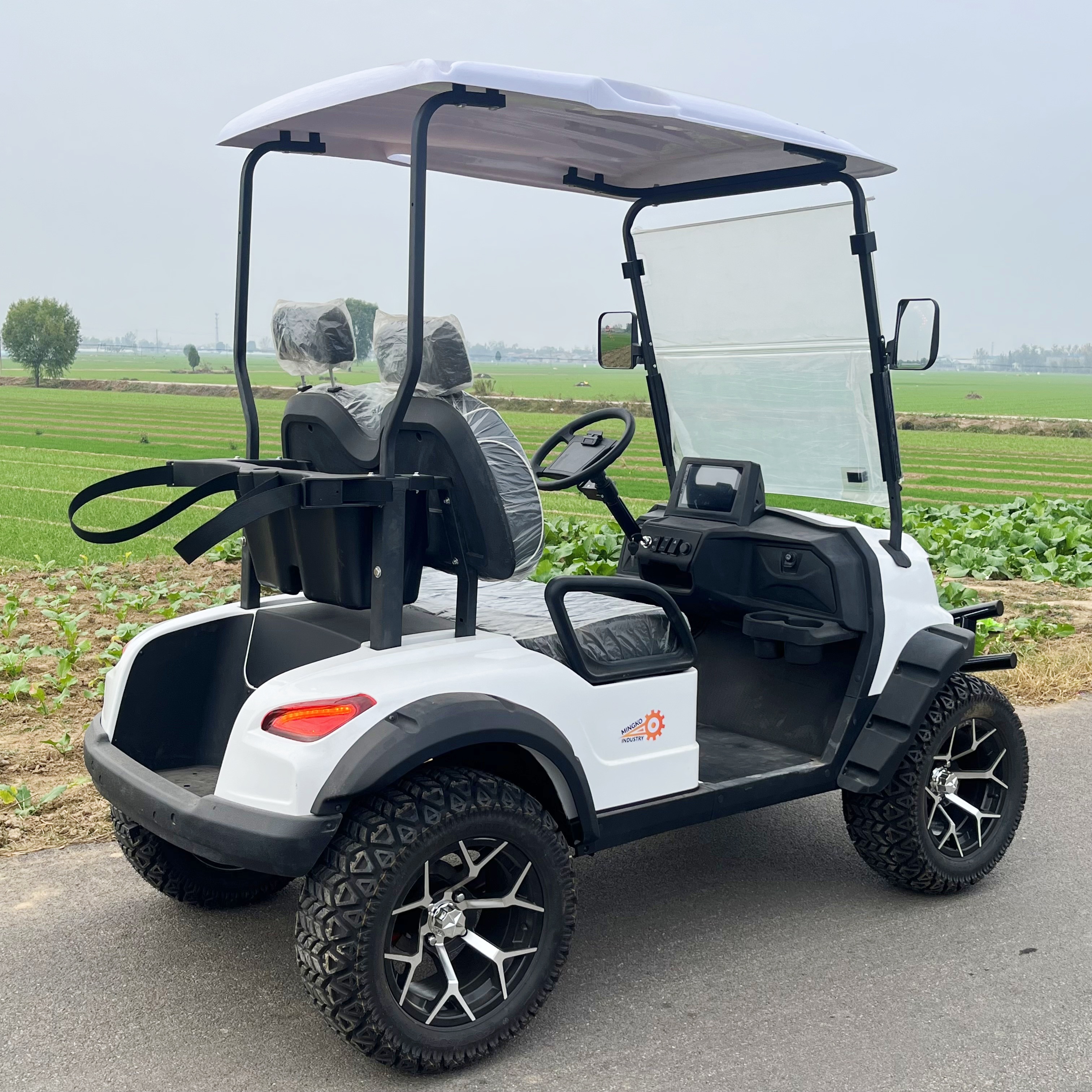 Chinese Small Mini Golf Cart Club 2 Passenger Electric Cheapest Buggy Car Vehicle Cart