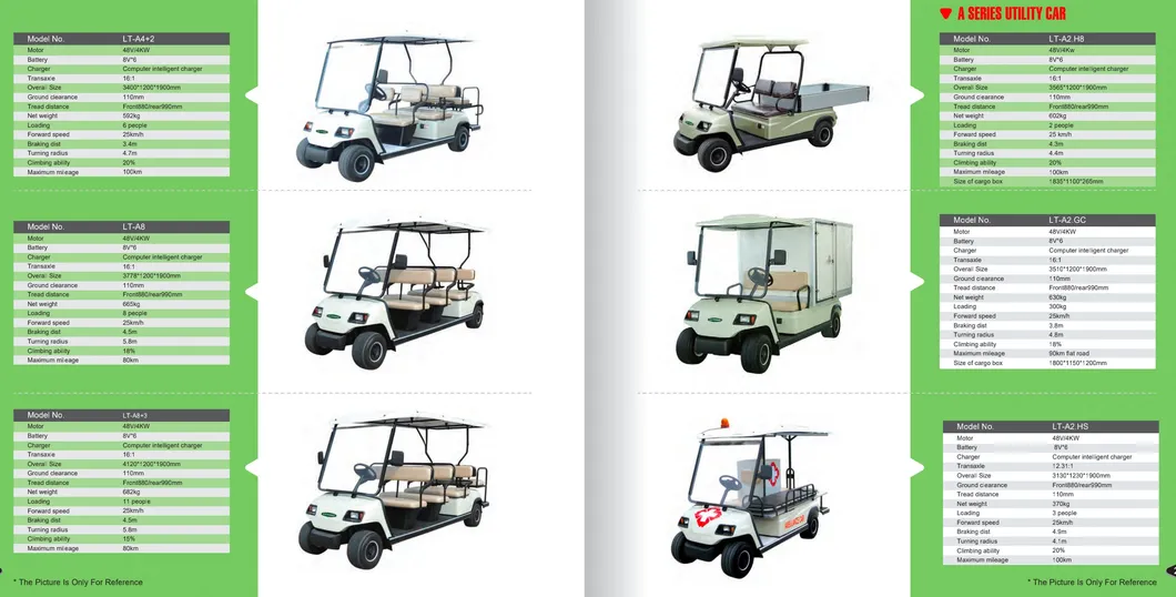 High-Performance Two-Passenger 4WD Golf Cart for Outdoor Adventures