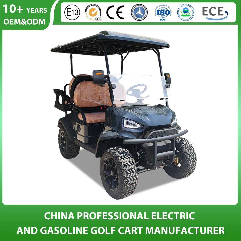 Shining Brand Golf Buggy Manfuacturer Customized 2+2 4 Seat Electric Buggy Hunting Utility 4 Wheel Lithium Battery Electric Motors Trolley Electric Golf Cart