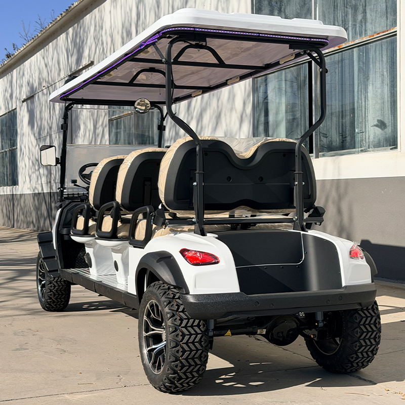Luxury 2025 Sdlanch Sdlgc100 6 Passenger Golf Cart Classic Car Golf Cart Street-Legal Electric Vehicle for Community Transport