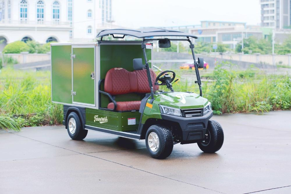 2 Person Rear Cargo Box Utility Electric Golf Carts