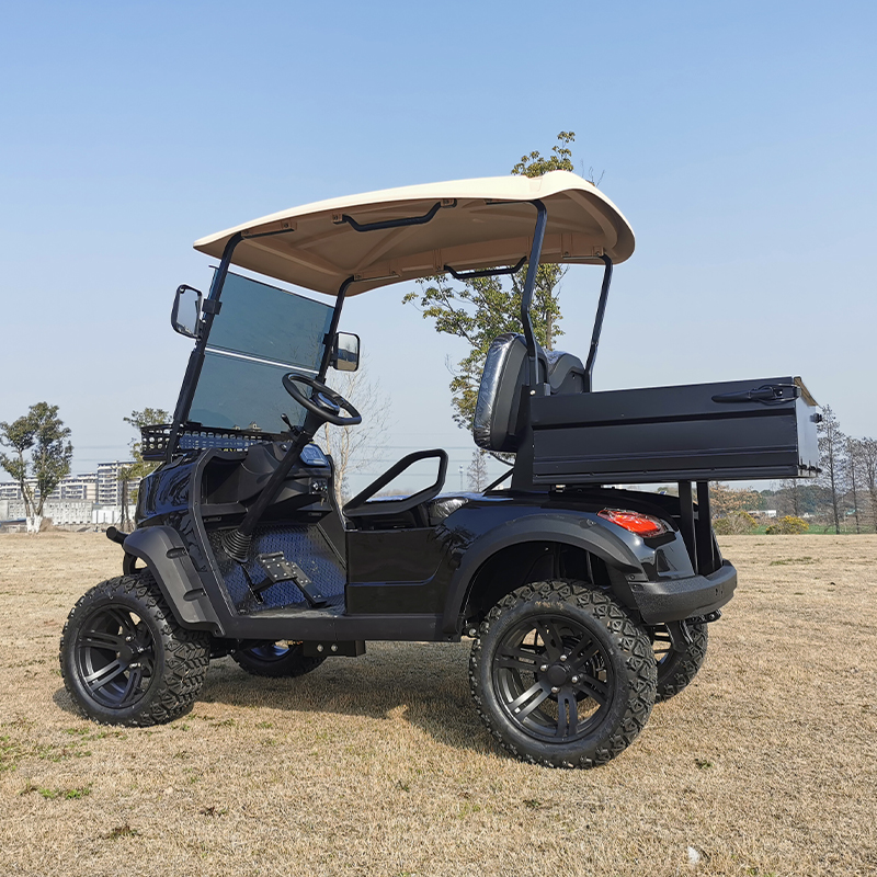 Large Cargo Box Cart 2 Passenger Electric Utility Golf Cart with Off-road Tires 90km Range &amp; 30-50Km/h Speed
