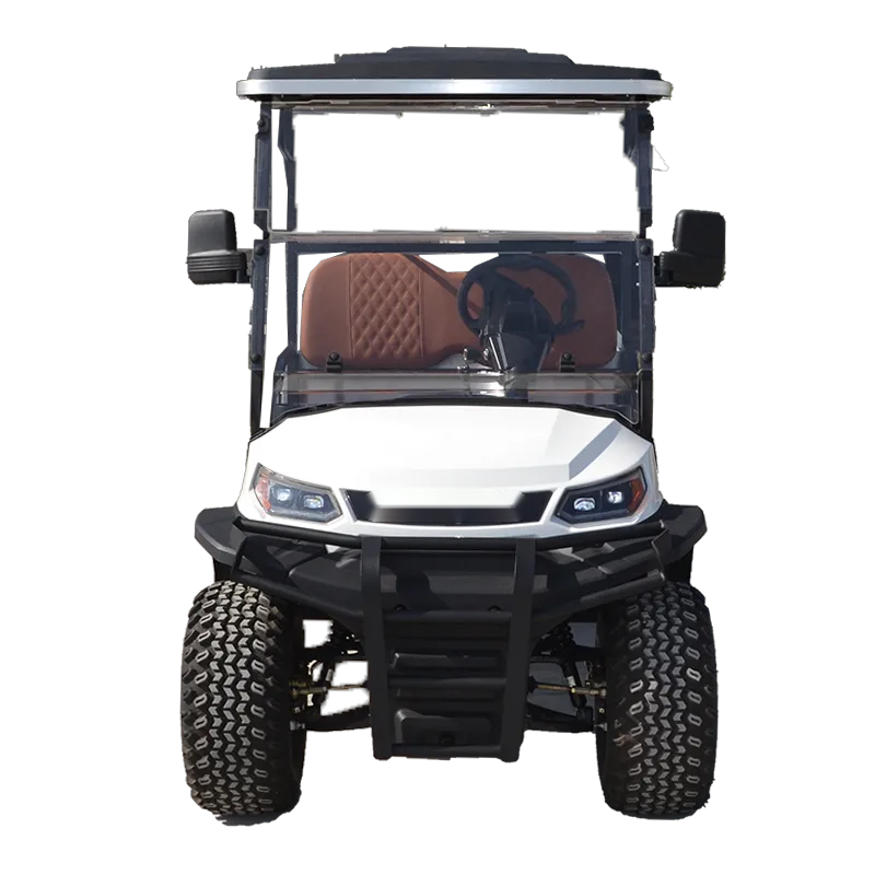 Lithium Battery 2 Seater Mini Car Golf Carts Electric with Cargo Box