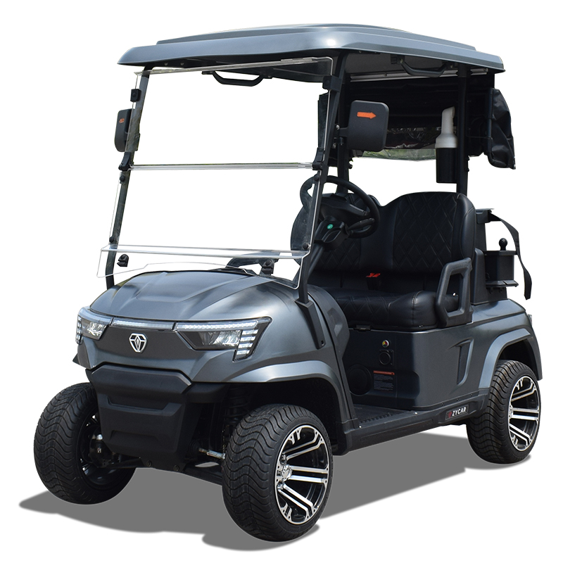 Customizable 2-Seater Electric Utility Golf Cart, Lithium Battery Golf Buggy For Sale