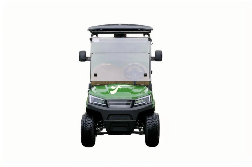 2 Person Rear Cargo Box Utility Electric Golf Carts