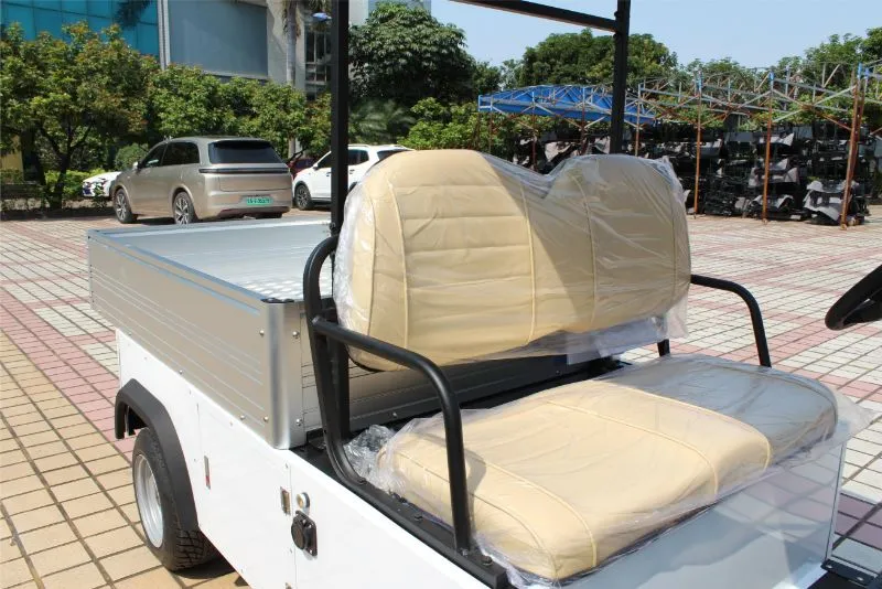 Electric Utility Cart Rear view