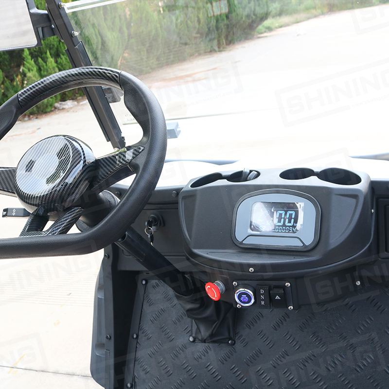 Custom Shining Lsv 4 Seater Street Legal CE Certified 50-70Km/h 48V/72V Lithium Battery Electric Golf Cart with Cargo 70-90km