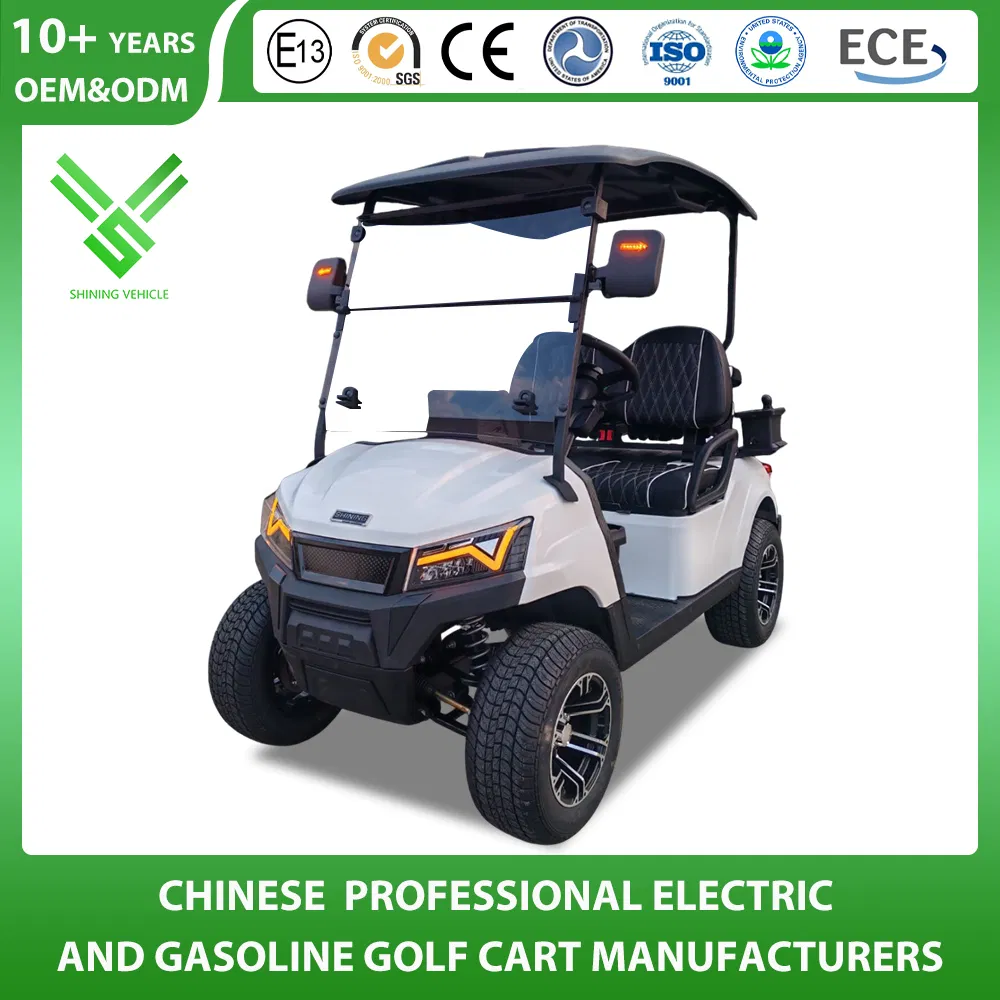 Shininglsv 2 Seat 48V Lead Acid Compact Entry Model Vehicle Golf Cart