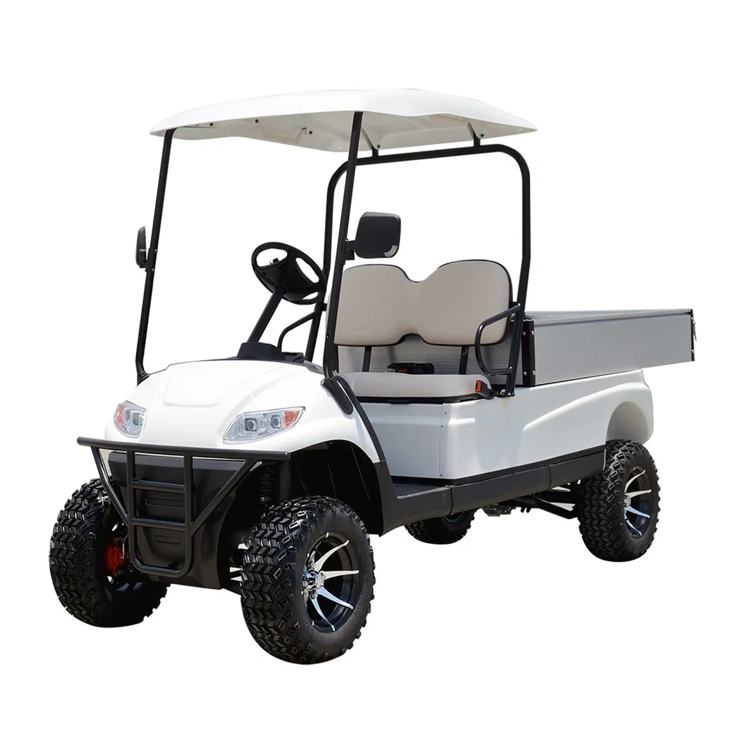 Electric Powered Utility Golf Cart Detailed View 1