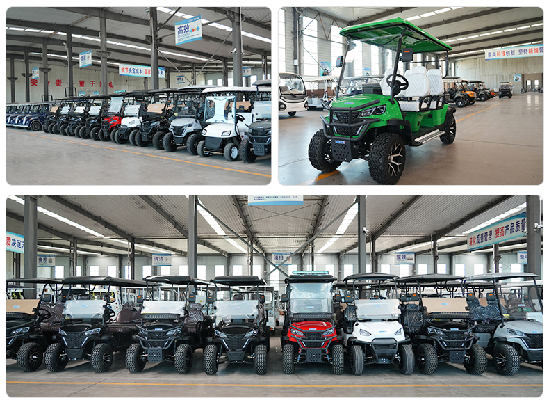 Golf Cart Feature 1