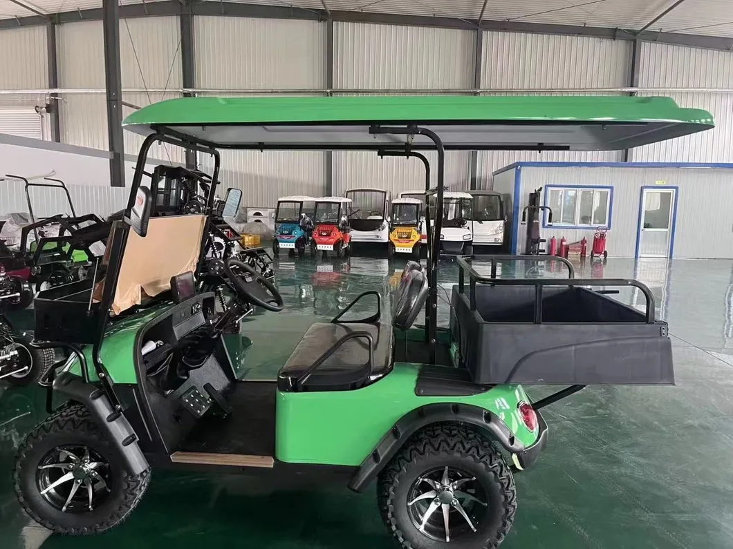 Electric Utility Cargo Golf Cart Visual Show 4