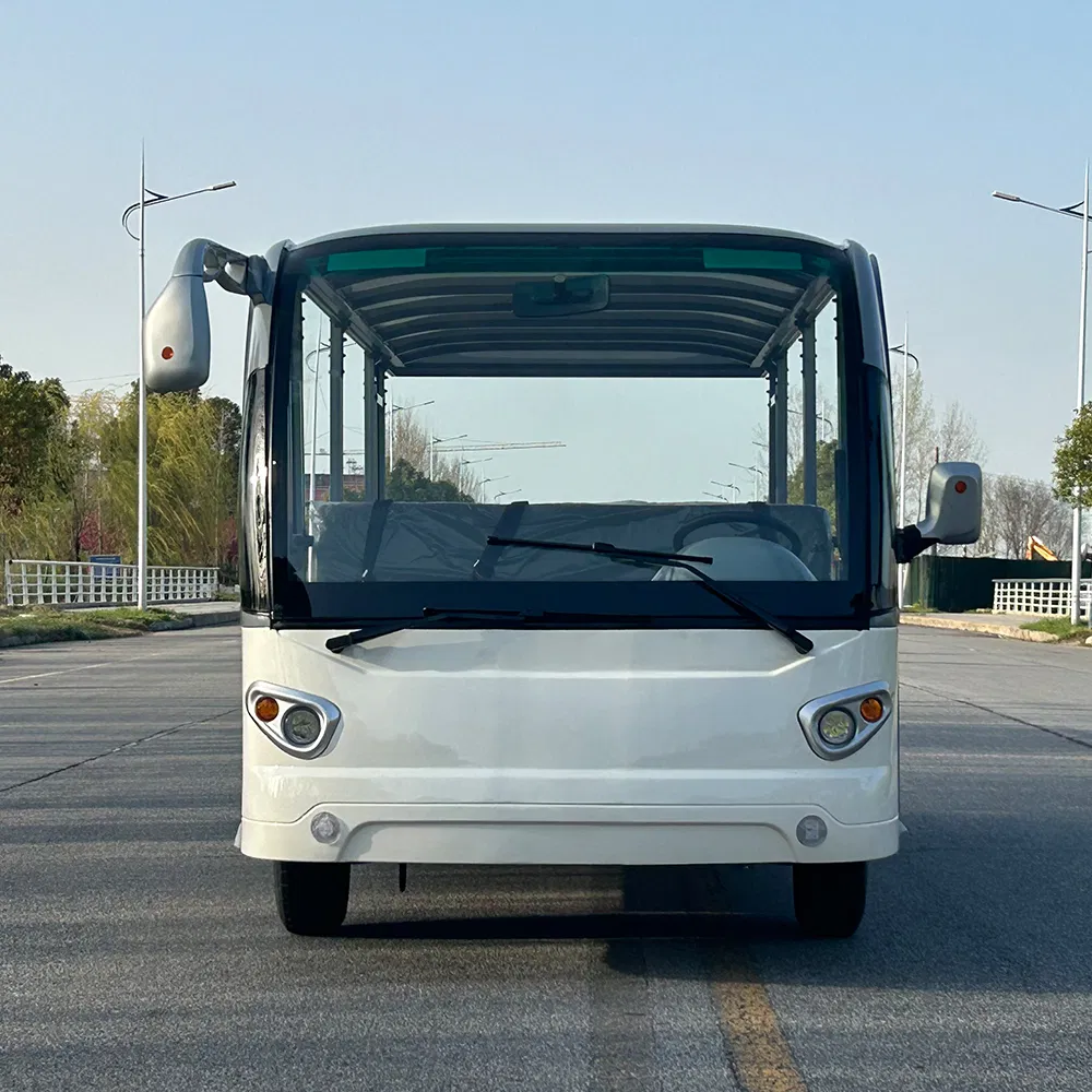 Electric Sightseeing Car Inner View