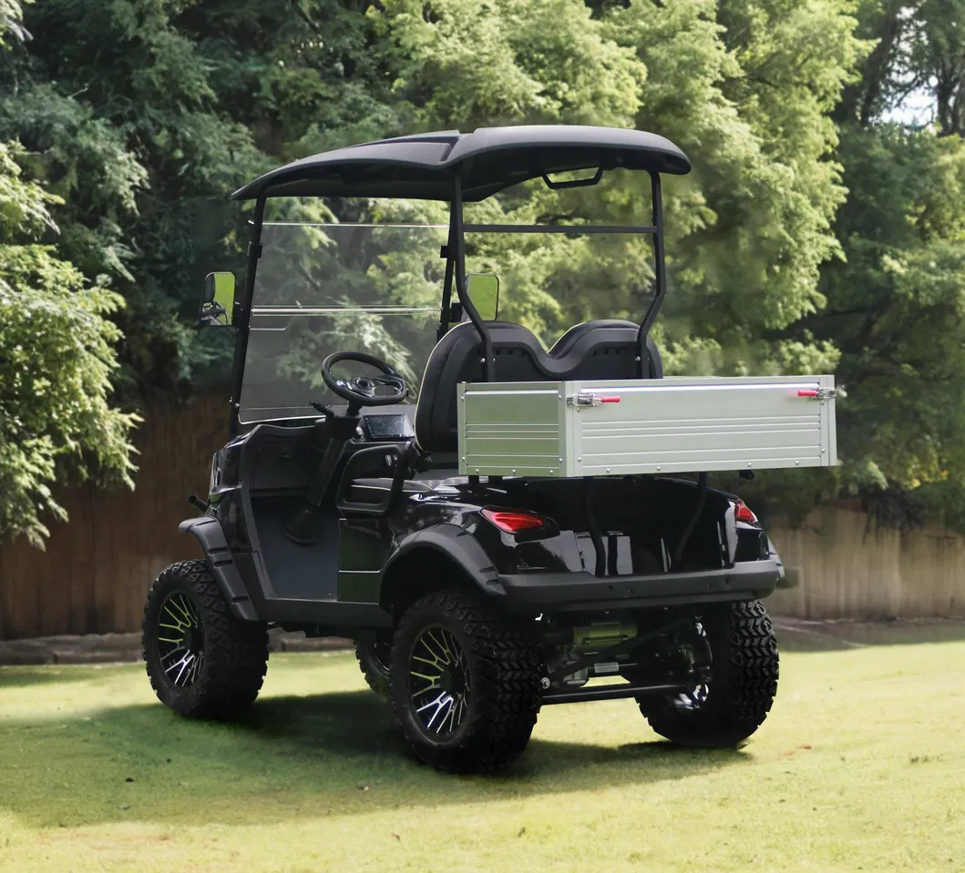 2-Passenger Utility Lifted Golf Cart Detail 2
