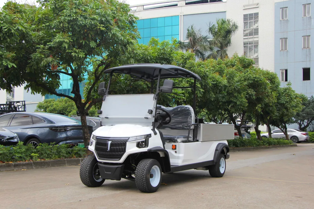 Electric Utility Cart with Fixed Cargo Box 48V Motor 2 Seater Golf Cart Mini Truck