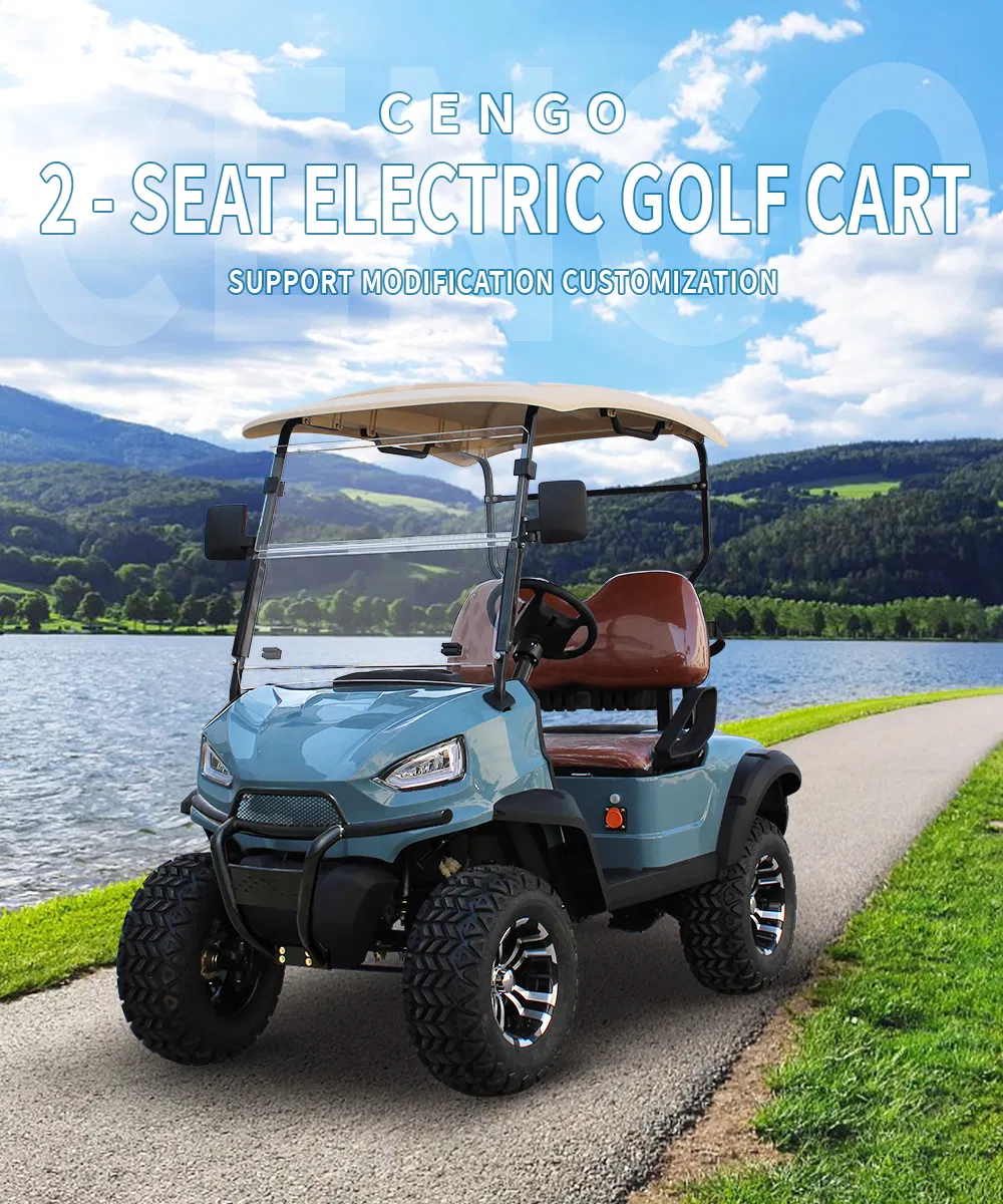 2-Passenger Utility Lifted Golf Cart with Aluminium Cargo Box