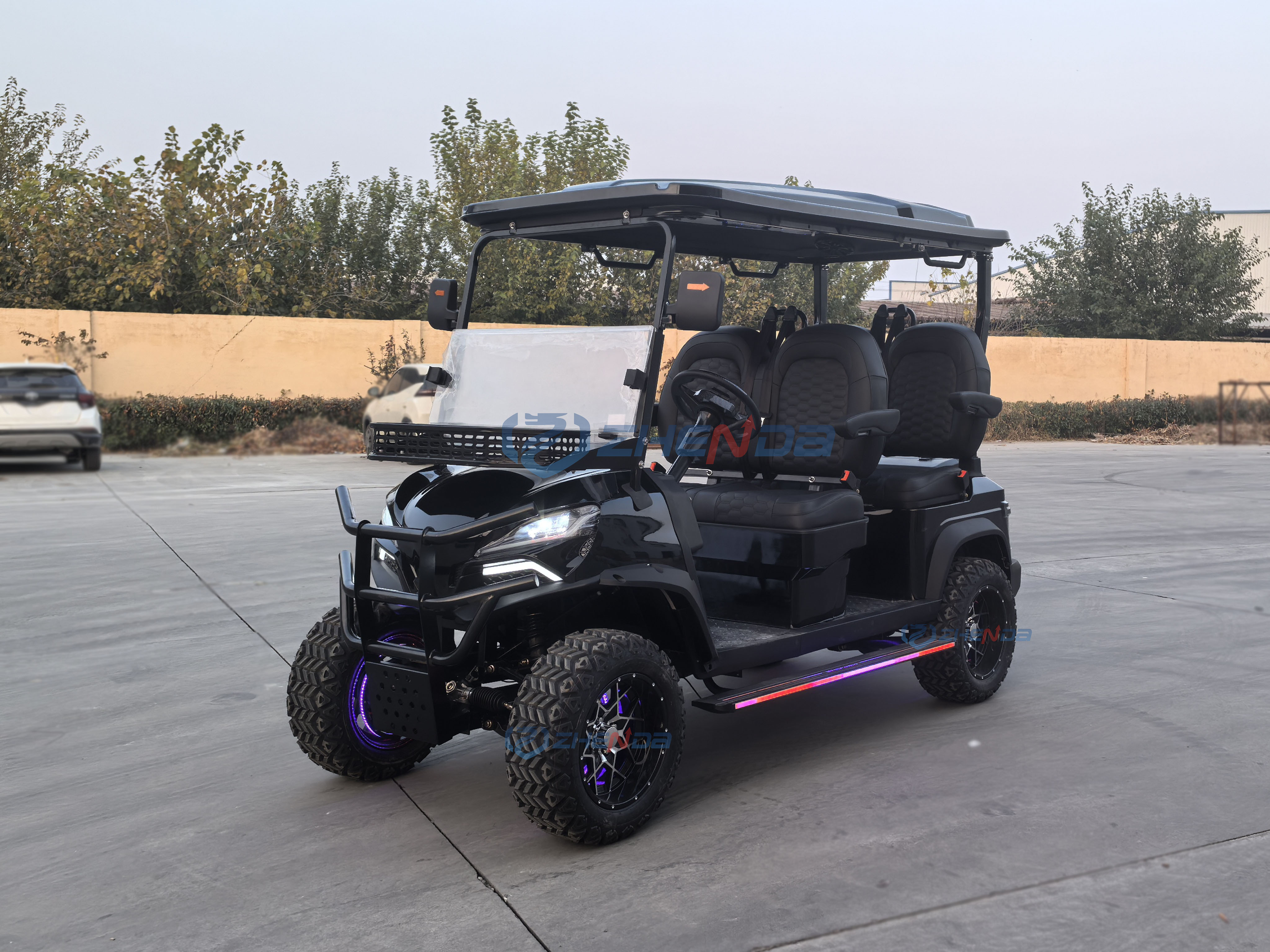 Golf Cart Profile View