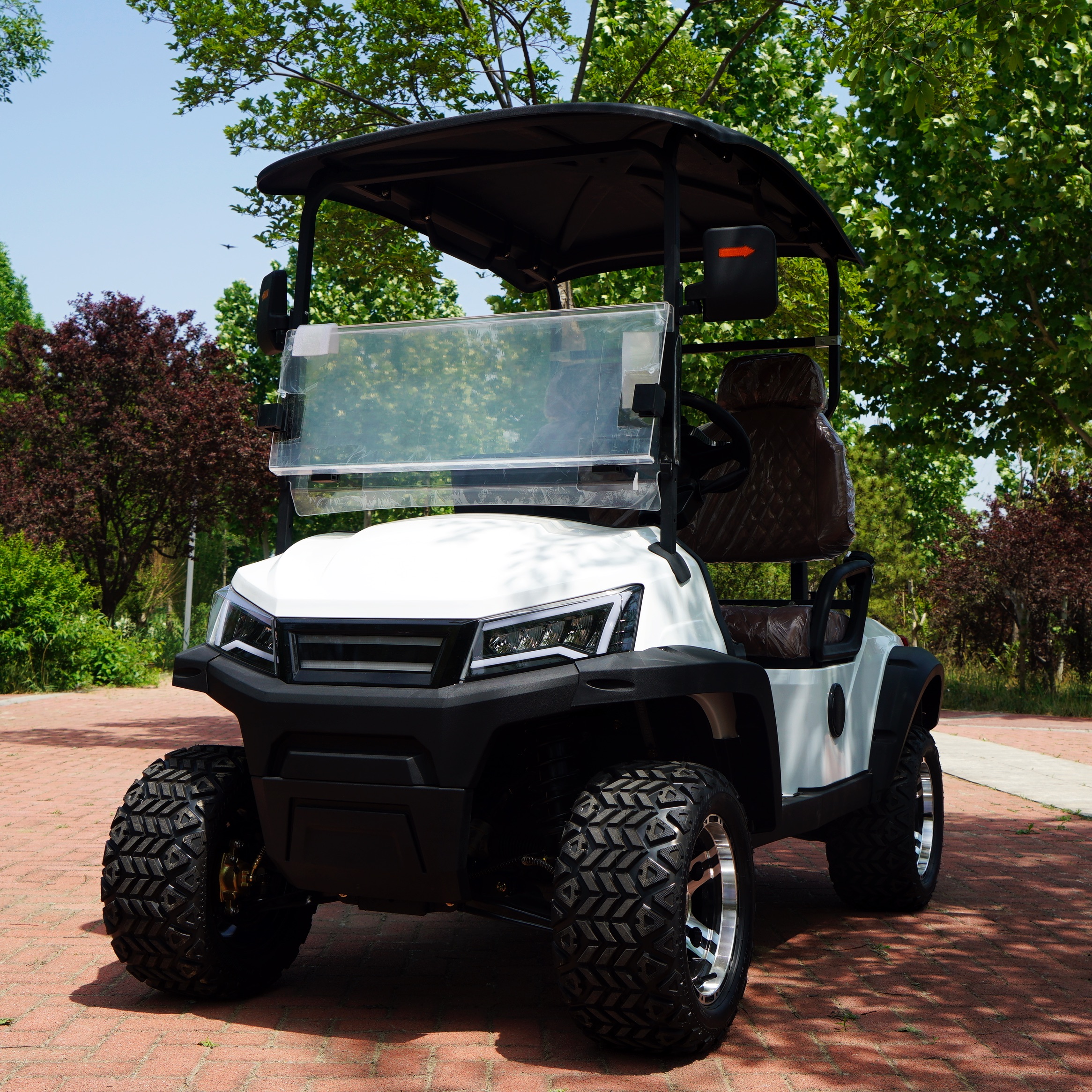 Best Quality 2 Seater Golf Carts Electric Strong Power Mini Golf Buggy for Country Club Life-long Service 4 Wheel Golf Car Price