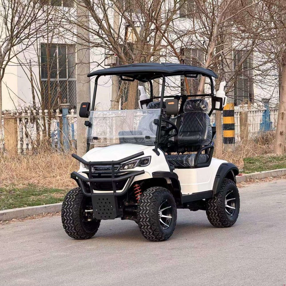 Enclosed Golf Cart Weatherproof Cabin Golf Buggy with Heater &amp; Windshield for Cold Climates