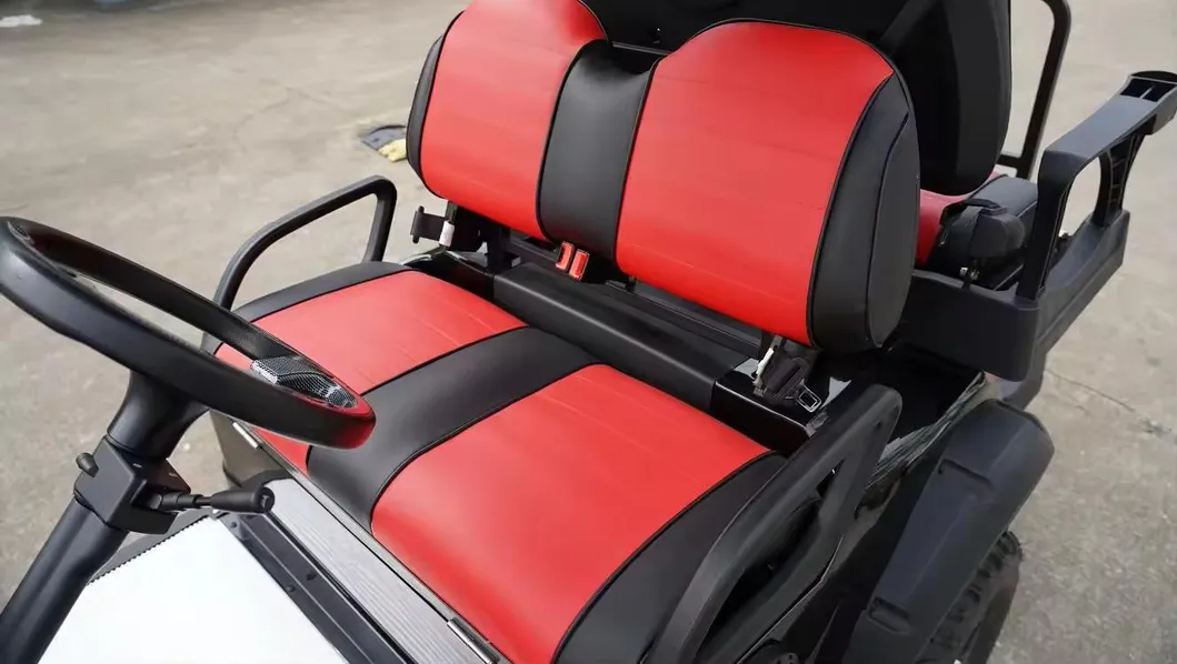 Electric Golf Club Cart Rear