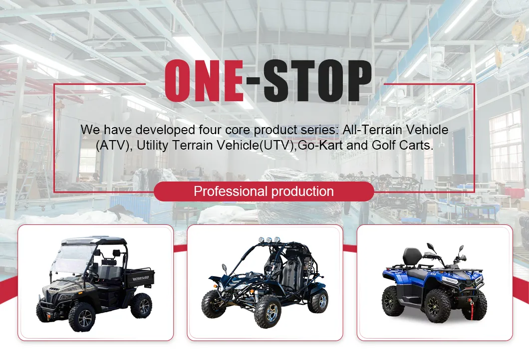 off Road Adult Beach Quad Bike Jaguar 200 Go Cart Efi