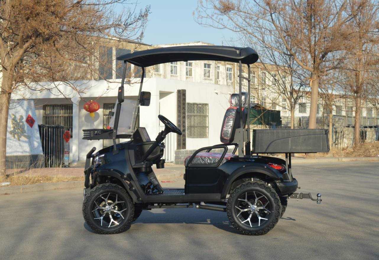 Europe Canada Hot Selling Electric 2 Seats Mini Lithium Battery Golf Cart GPS Navigation 3.5-7.5 Kw Motor 90km Range for