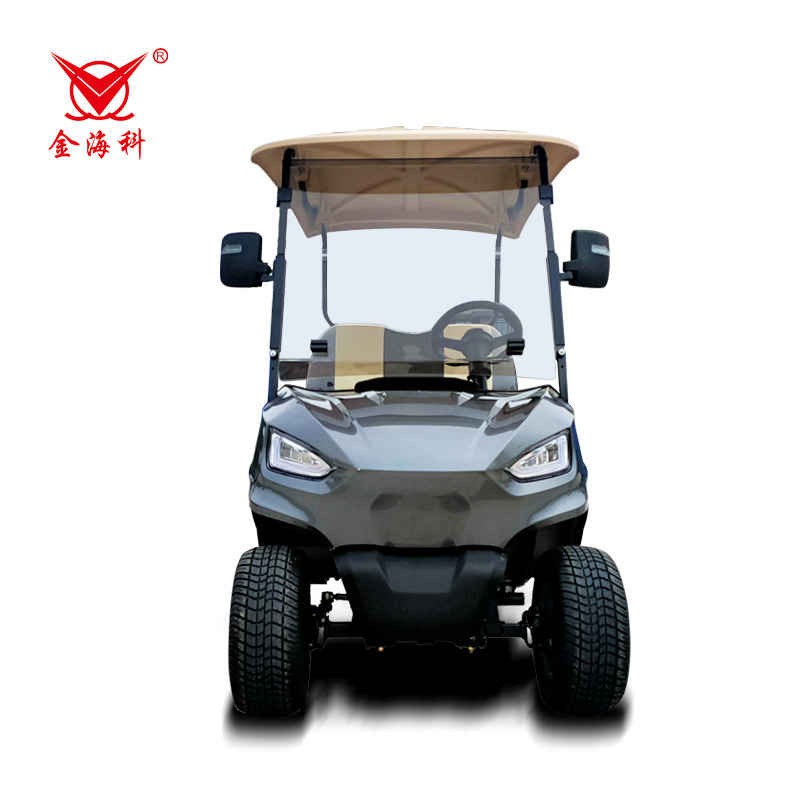 High Quality 2-Seater Electric Golf Cart on Sale Promotional Mini Golf Cart